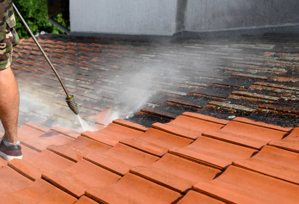 Best Local Pressure Washing Services  in Barrett, TX
